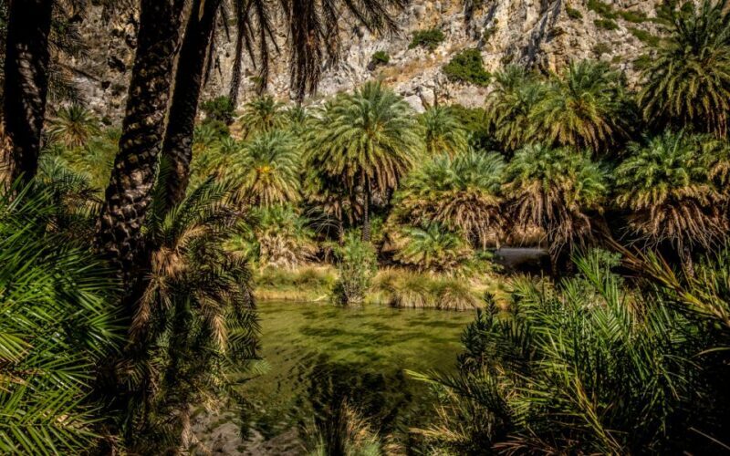 Preveli from Heraklion: Exotic Beach & Palm Forest, PickUp - Final Thoughts