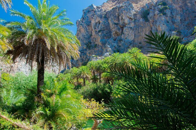 Preveli Palm Beach Boat Cruise & Rethymnon Town from Heraklion - Who Would Love This Tour?