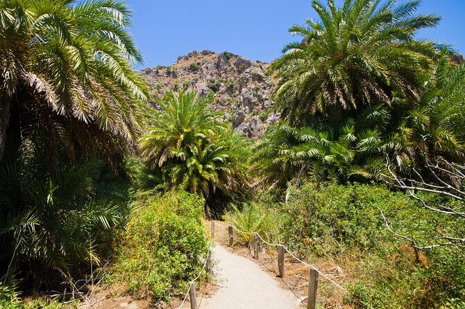 Preveli Palm Beach Boat Cruise & Rethymnon Town from Heraklion - Final Thoughts