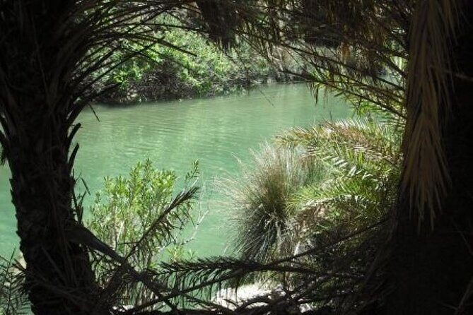 Preveli palm Beach & Damnoni Excursion - Authentic Experiences & Traveler Insights