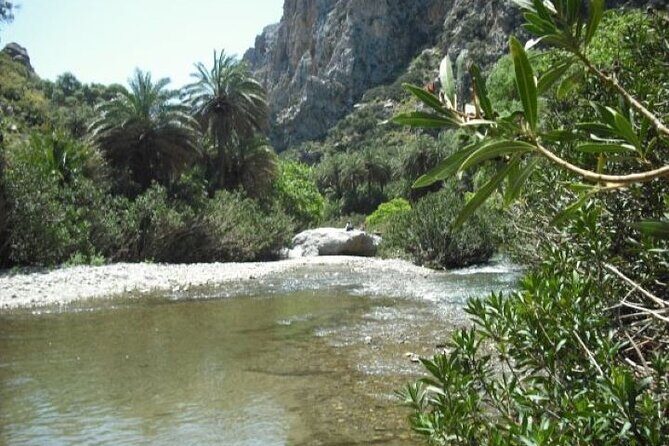 Preveli palm Beach & Damnoni Excursion - Who Is This Tour Best For?