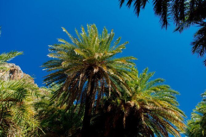 Preveli Palm Beach From Rethimno - Who Should Consider This Tour?
