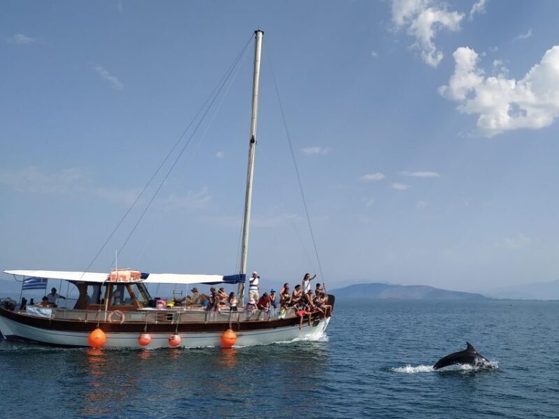 Preveza: Dolphin Watching Cruise with Lunch and Drinks - Preveza: Dolphin Watching Cruise with Lunch and Drinks