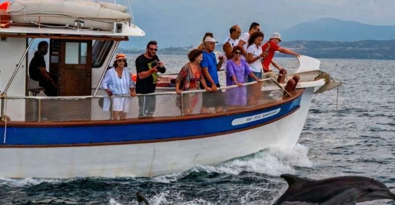 Preveza: Dolphin Watching Cruise with Lunch and Drinks - Practical Details for Travelers