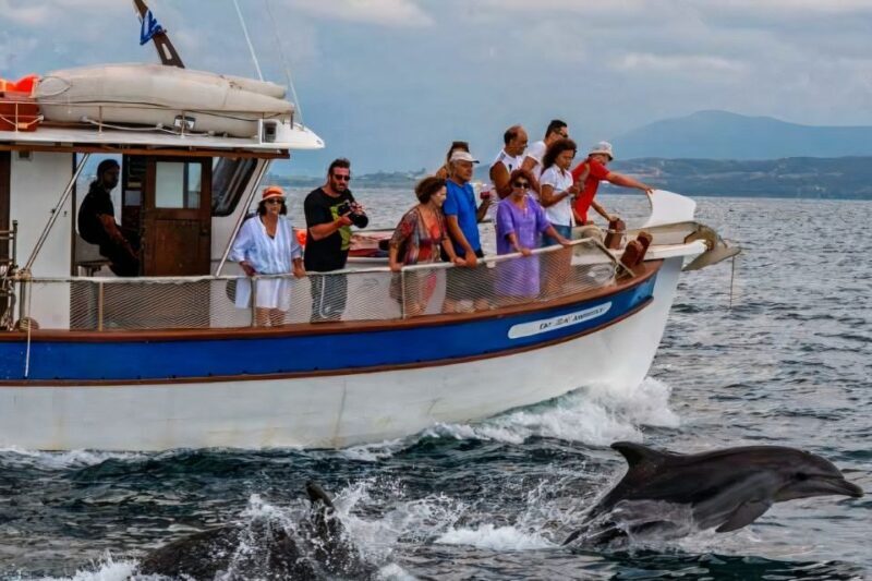 Preveza: Dolphin Watching Cruise with Lunch and Drinks - The Sum Up