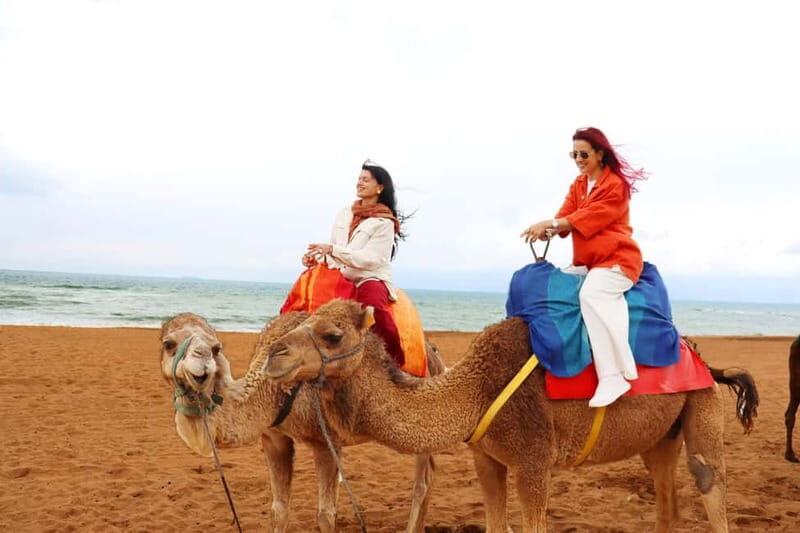 Price: Day trip to Tangier by ferry with lunch and tour guide - Who Is This Tour Best For?