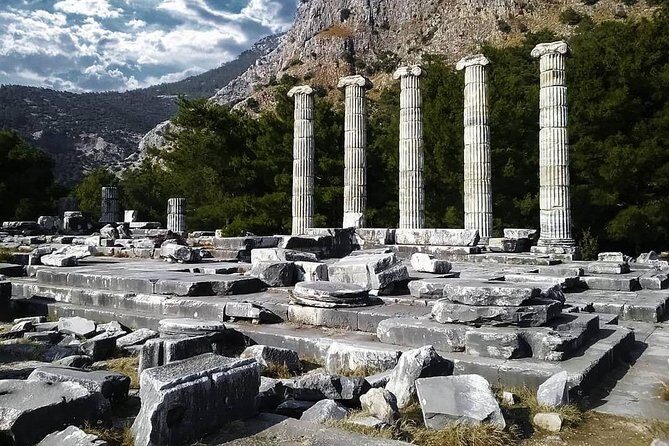 Priene Miletos Didyma Tour From Kusadasi / Selcuk Hotels - Transportation and Logistics: Comfort and Convenience
