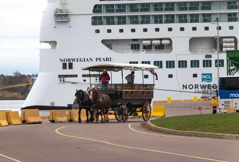 Prince Edward Island: Horse-Drawn Carriage Tour - Prince Edward Island: Horse-Drawn Carriage Tour