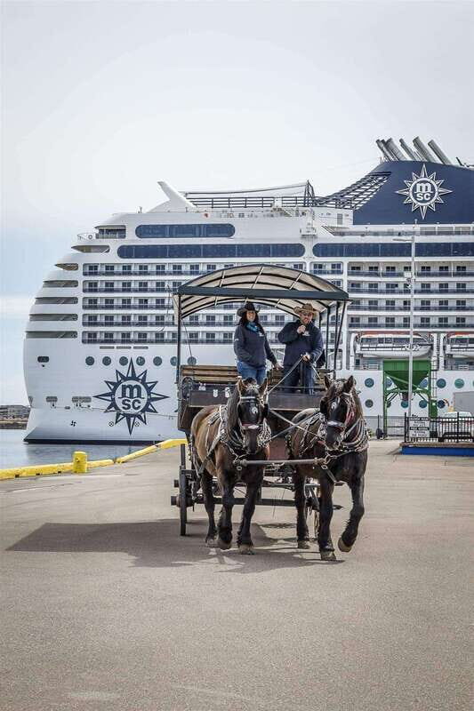 Prince Edward Island: Horse-Drawn Carriage Tour - Who Will Benefit Most from This Tour?
