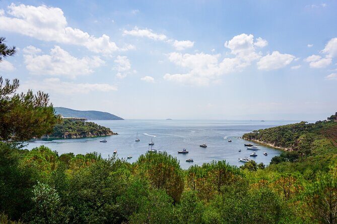Princes' Islands Cruise with Lunch and Transfer Full-Day Tour - A Detailed Dive into the Princes Islands Tour Experience