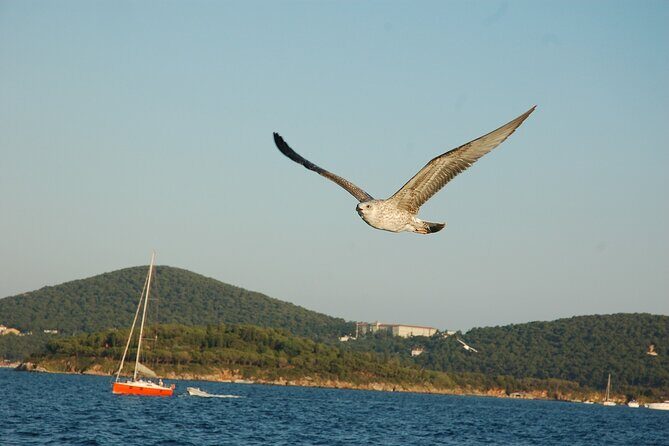Princes' Islands Cruise with Lunch and Transfer Full-Day Tour - FAQ: Your Practical Questions Answered