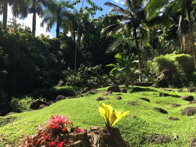 Princeville: Guided Botanical Gardens and Chocolate Tour - An In-Depth Look at the Princeville Botanical Gardens and Chocolate Tour