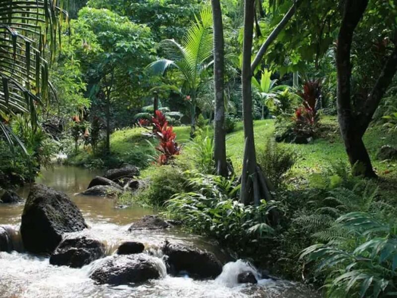 Princeville: Guided Botanical Gardens and Chocolate Tour - FAQ