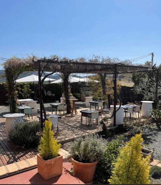 Priorat tour to 3 small wineries and hotel pick-up - Key Points