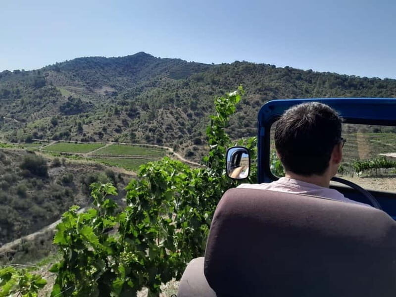 Priorat tour to 3 small wineries and hotel pick-up - The Practical Side: Transportation, Timing, and Cost