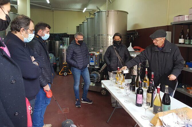 Priorat Wine Tasting Tour from Salou with hotel pickup - An Authentic Taste of Priorat: Guided Wine Tour from Salou with Hotel Pickup