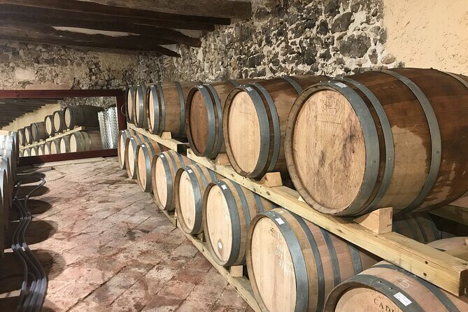 Priorat Wine Tasting Tour from Salou with hotel pickup - Key Points