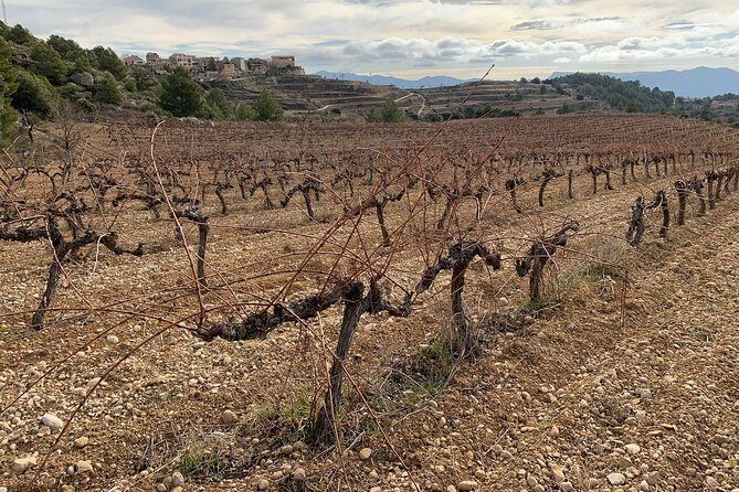 Priorat Wineries Tour with Wine Tastings & Lunch from Barcelona - FAQ