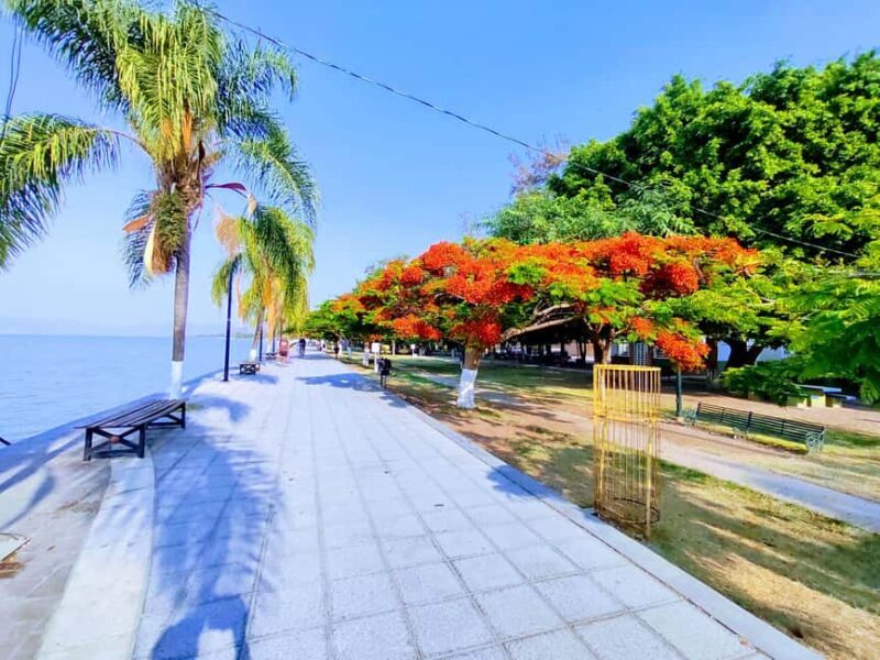 Privado: Rancho Vicente Fdez, Ajijic, Chapala y Tlaquepaque - Key Points