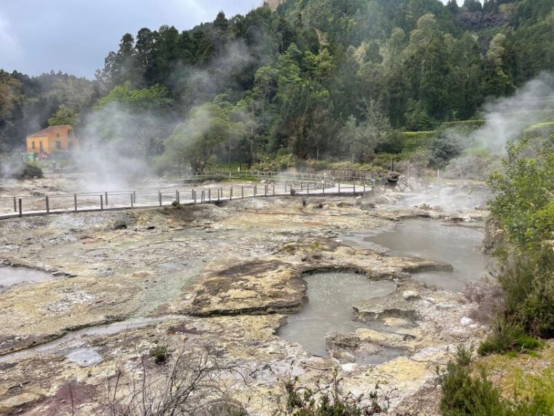 Privat van tour Furnas valley, Gorreana tea  islands gems - Discover the Hidden Treasures of São Miguel with a Private Van Tour