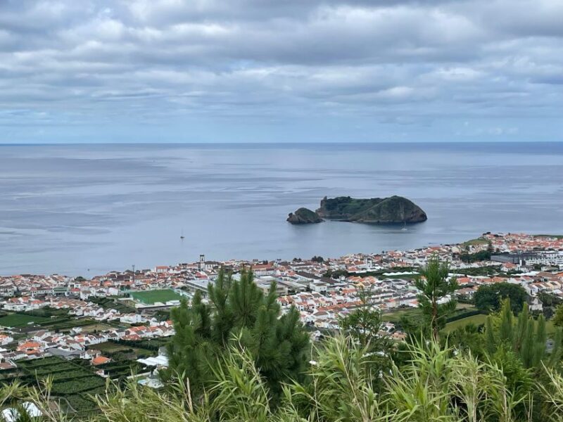 Privat van tour Furnas valley, Gorreana tea  islands gems - What Travelers Say