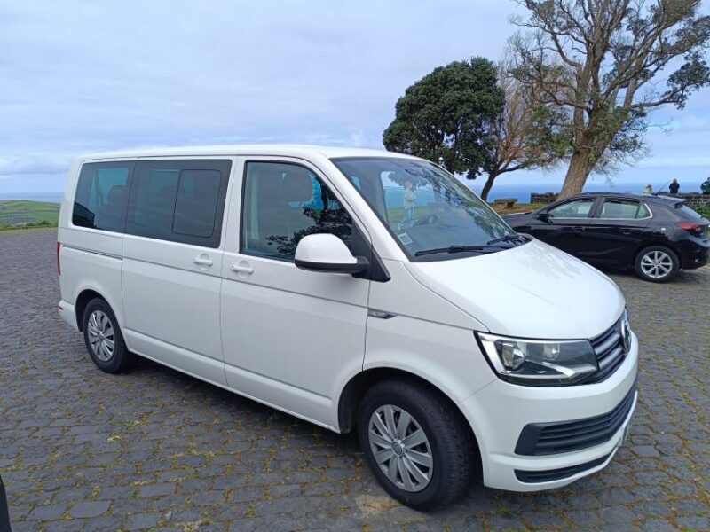 Privat van tour Furnas valley, Gorreana tea  islands gems - Who Is This Tour Best For?