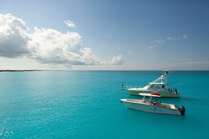 Private 1/2 Day Afternoon Bottom Fishing Charter on "Shady Grady" - Exploring the "Shady Grady" Half-Day Fishing Trip: What to Expect