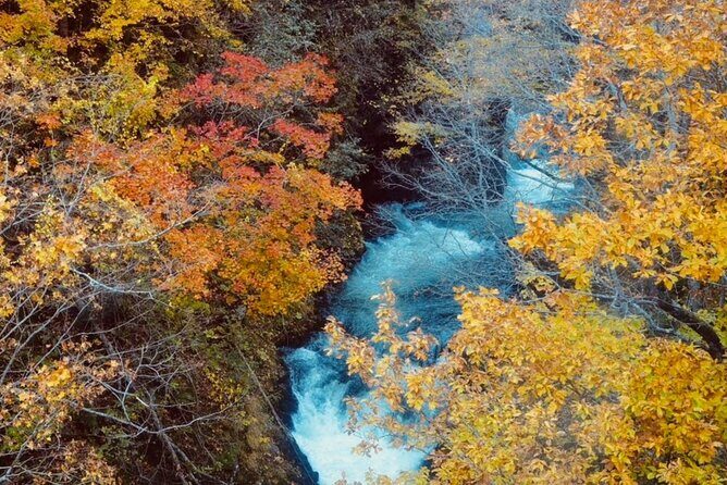 Private 1 Day Hokkaido Tour from Sapporo Customizable Itinerary - FAQs