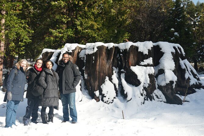 Private 1-Day Sequoia and Kings Canyon Park Tour from Los Angeles - Discovering Sequoia and Kings Canyon in a Day: A Balanced Look at an Unforgettable Trip