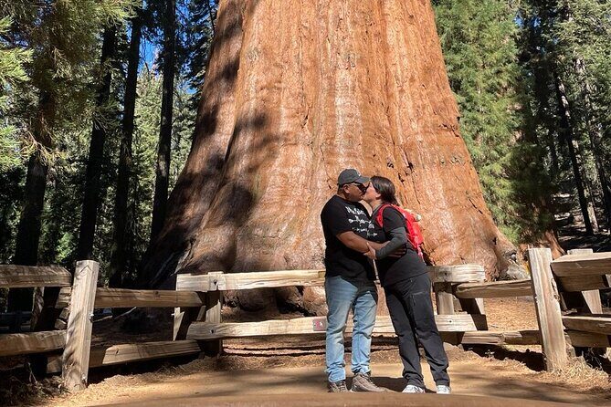 Private 1-Day Sequoia and Kings Canyon Park Tour from Los Angeles - An In-Depth Look at What This Tour Offers