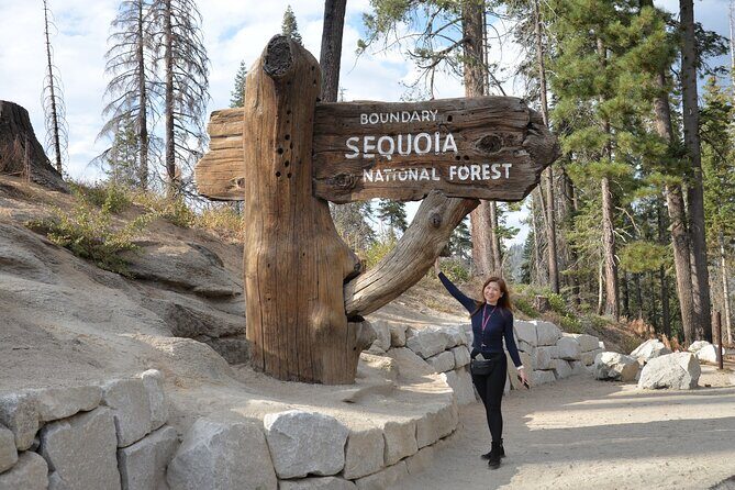 Private 1-Day Sequoia and Kings Canyon Park Tour from Los Angeles - The Sum Up