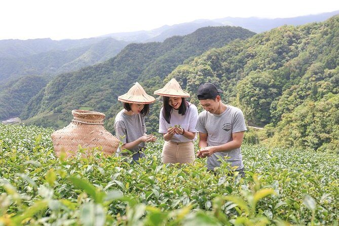 Private 1-Day Tea Experience in Taipei - Exploring Taiwan’s Tea Heartland: A Detailed Look at the Private 1-Day Tea Experience in Taipei