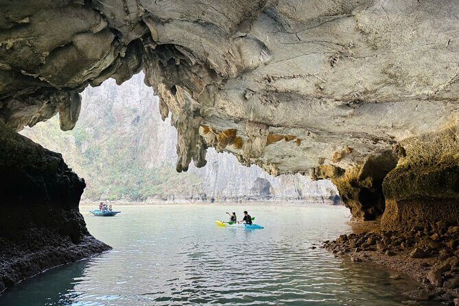 Private 1 Day Tour in Ha Long Bay with Private Cruise or Group - Experience the Wonders of Ha Long Bay in a Day