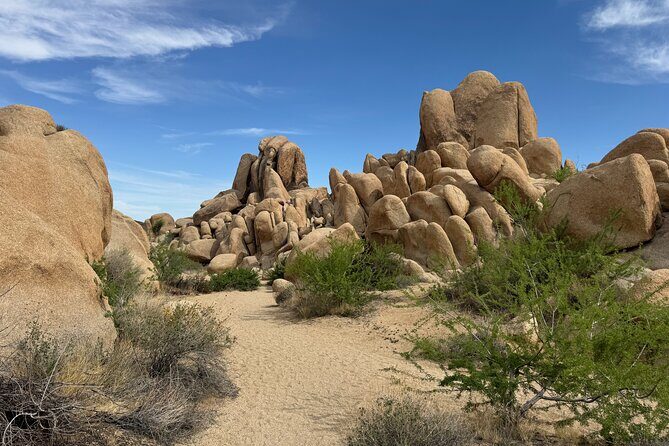 Private 1 Day Tour to Joshua Tree National Park - Key Points