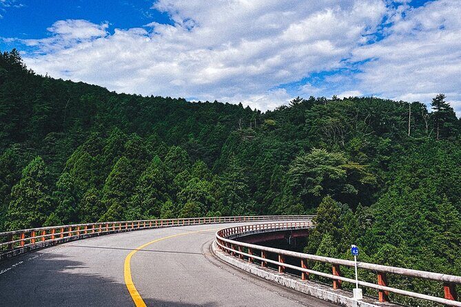 Private 1 Day Tour to Mt Fuji and Hakone: Onsen, Arts and Nature - Who Will Appreciate This Tour?