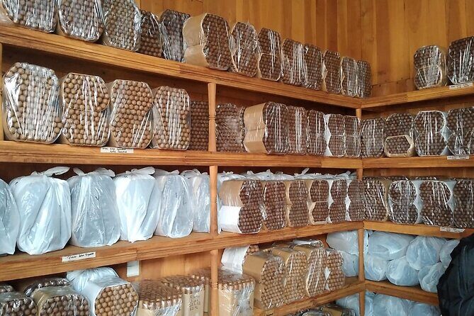 Private 1-Day Tour to Nicaragua From Liberia Guanacaste - Who Will Love This Tour?