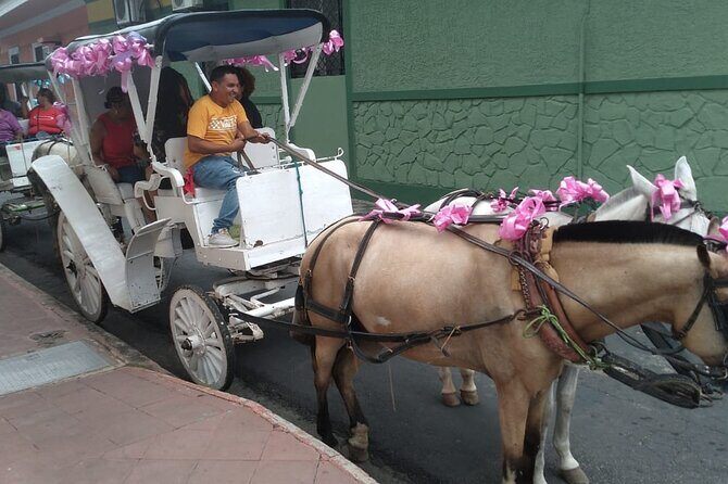 Private 1-day tour to Nicaragua from Playas del Coco - Lake Islets and Monkey Encounters