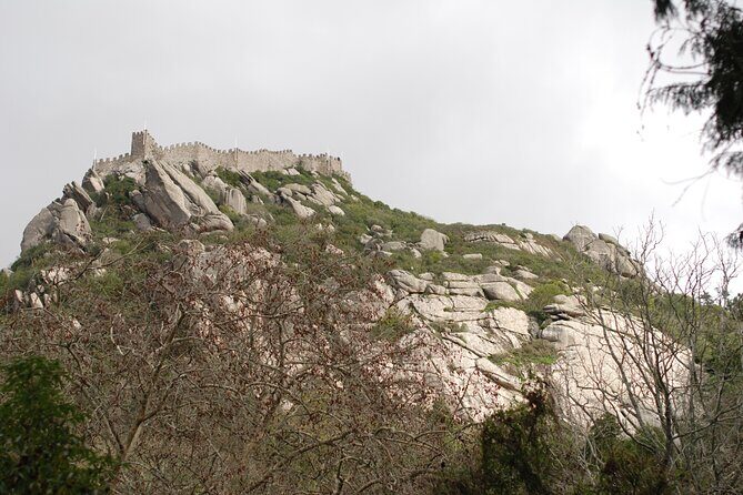 Private 1 hour and half Sintra Guided Tour - Who Would Love This Tour?