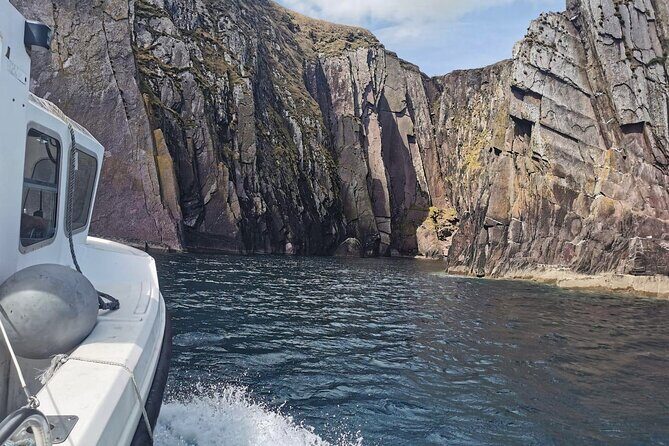 Private 1-Hour Guided Boat Tour in Dingle Peninsula - Who Would Love This Tour?