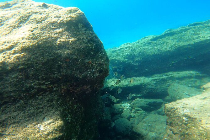 Private 1-Hour Guided Snorkeling Adventure with Go Pro Pictures - Exploring the Mykonos Snorkeling Adventure in Detail