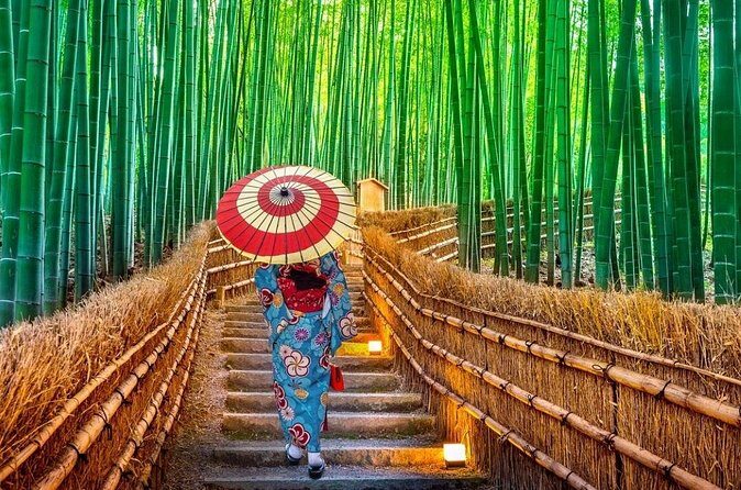 Private 10-hour chartered car service for Kyoto and Nara in Japan - FAQ