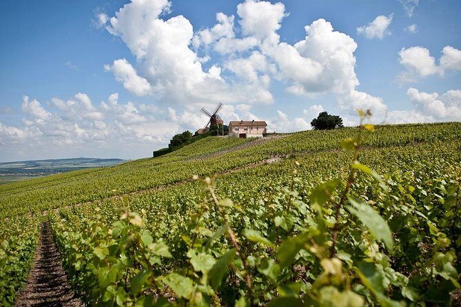 Private 10-hour round transfer to Champagne Epernay from Paris. Best offer! - Key Points