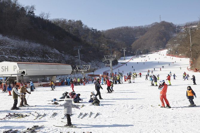 Private 1:1 Ski Lesson near Seoul, South Korea - An Authentic Ski Experience Close to Seoul