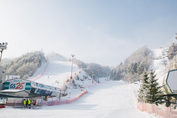 Private 1:1 Ski Lesson near Seoul, South Korea - Key Points