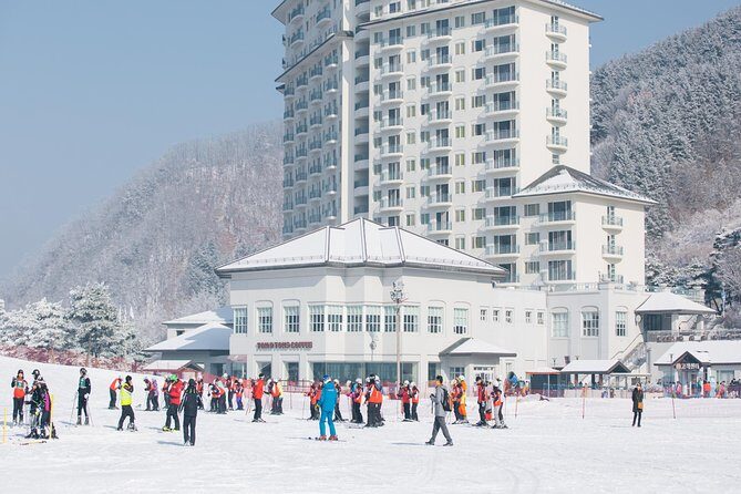 Private 1:1 Ski Lesson near Seoul, South Korea - Detailed Breakdown of the Itinerary