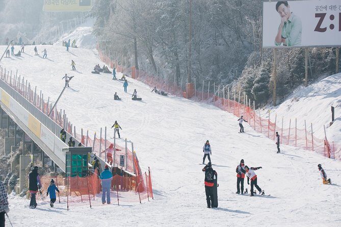 Private 1:1 Ski Lesson near Seoul, South Korea - Who Would Benefit Most from This Experience