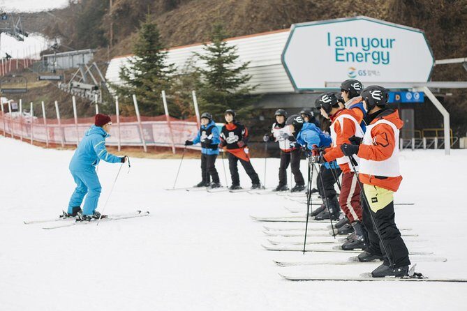 Private 1:1 Ski Lesson near Seoul, South Korea - The Sum Up: Who Should Sign Up?