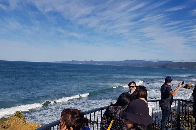 Private 12 Apostles or Melbourne Tour - Shore Excursion - Key Points