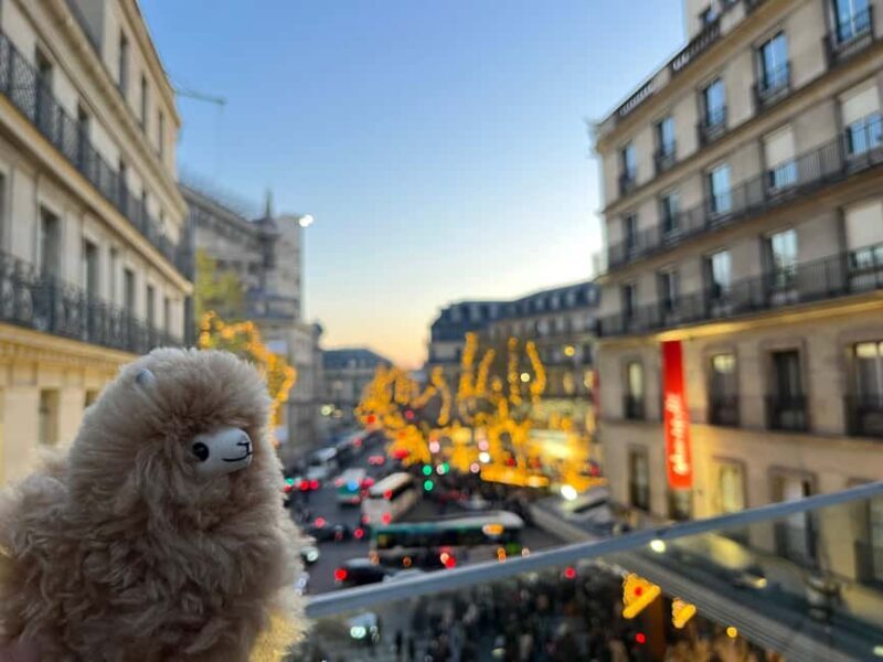 Private 2-3 hours Montmartre walking tour - Timeless charm - Final Thoughts: Is This Tour Right for You?