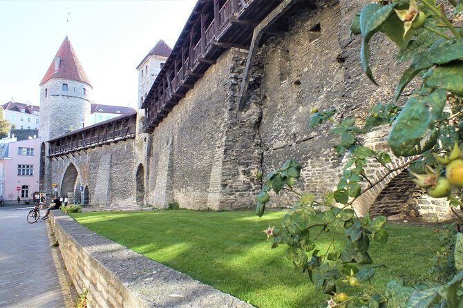 Private 2.5-Hour Tour of Tallinn Old Town in a Spacious Mercedes Minivan - Why This Tour Is Worth It